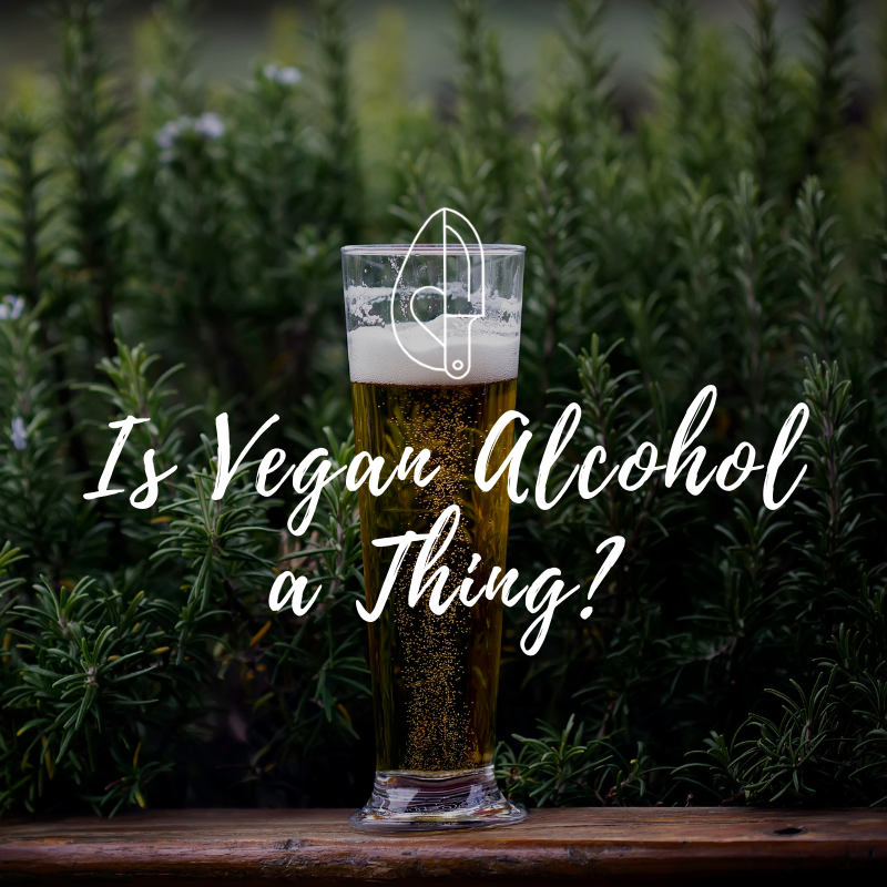 is-vegan-alcohol-a-thing-veggiejeva